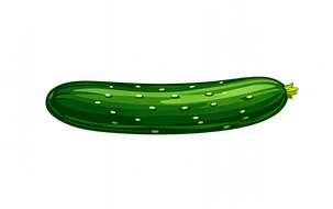 SINGLE PICKED CUCUMBER