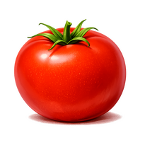 BIG TOMATO big tom with shadow