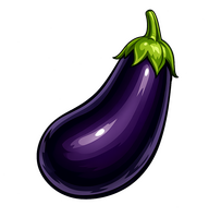 Purple Aubergine eggplant