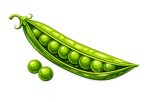 PEA POD peas in a pod that has split.